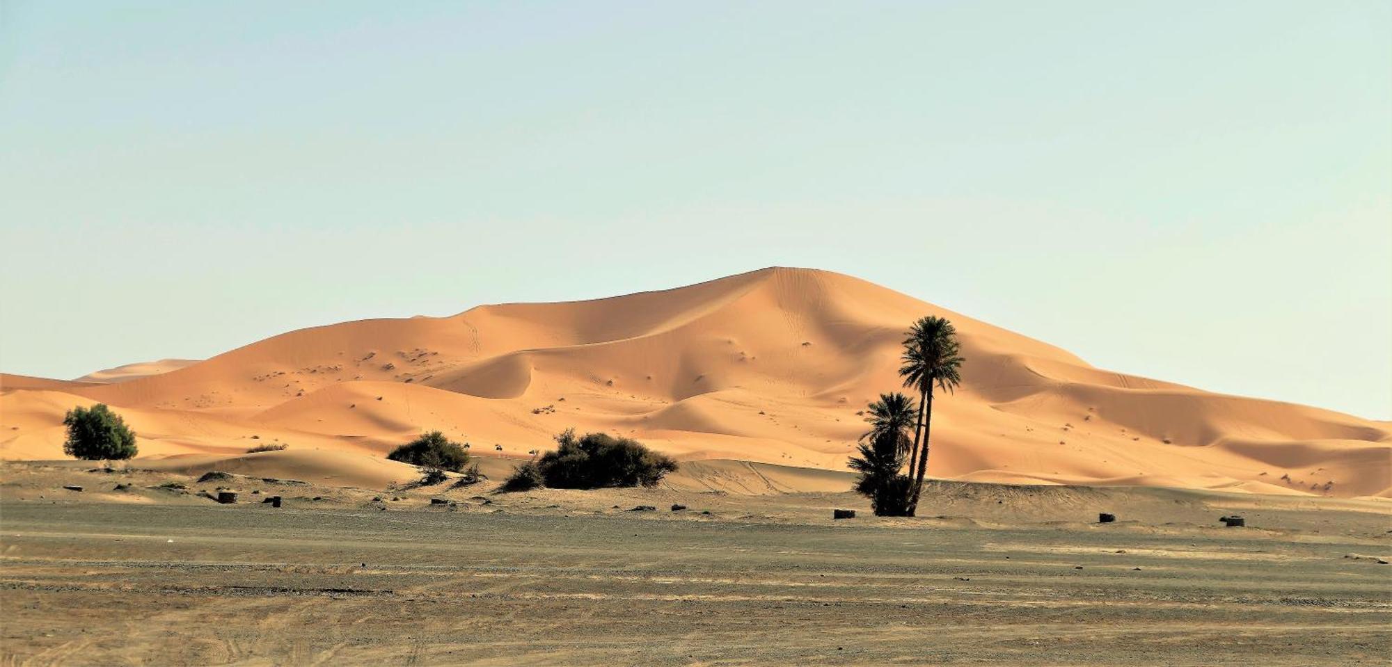 Auberge Ocean des dunes Merzouga Exterior foto
